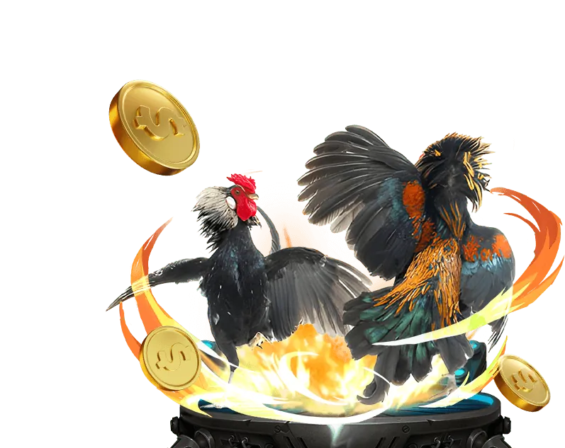 So sánh an toàn kk vin với các đối thủ