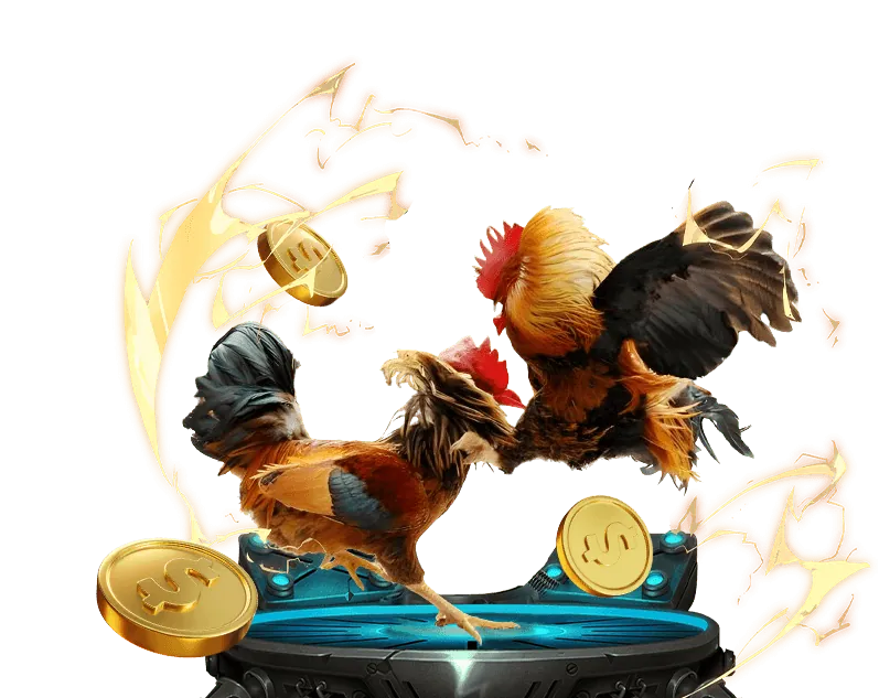 Khuyến mãi đá gà kk vin